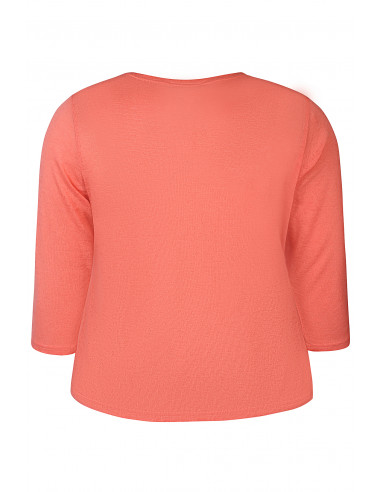 ZHENZI AGAR 170 200708