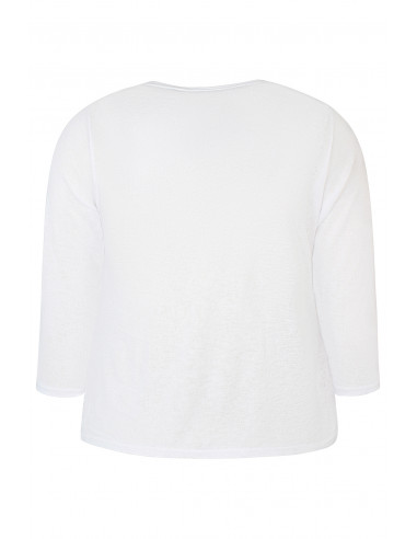 ZHENZI AGAR 170 200708