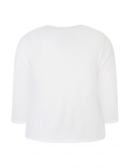 ZHENZI AGAR 170 200708