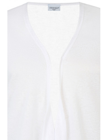 ZHENZI AGAR 170 200708