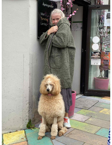 DNY Hood ZIP Jacket DN4292