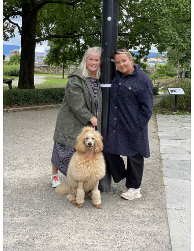 DNY Hood ZIP Jacket DN4292