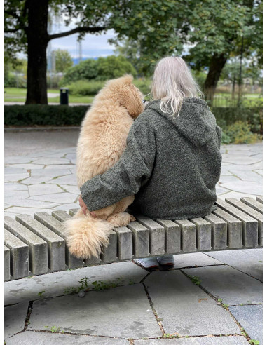 DNY Hood ZIP Jacket DN4292