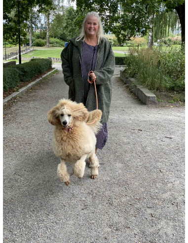 DNY Hood ZIP Jacket DN4292