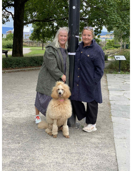 DNY AUT Shirt Wooly DN4293