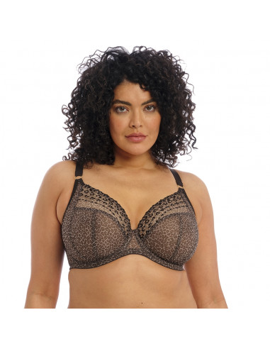 Wacoal ELOMI Matilda UW Plunge BH EL8900