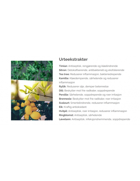 SORITEX Spesialsjampo til tørr og irritert hodebunn 5082F