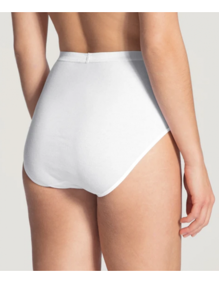CALIDA MIDI BRIEF 23103