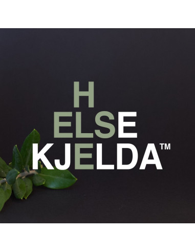 HELSEKJELDA Ingefær Krem 100ml