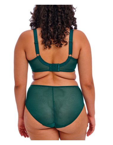 ELOMI KINTAI UW Plunge Bra EL 301202DAL