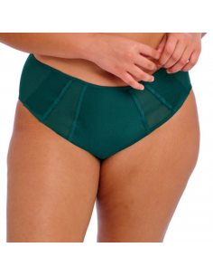 ELOMI KINTAI Full Brief EL301251DAL